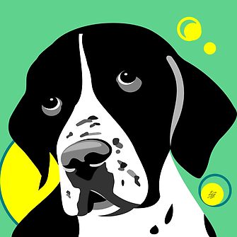 Black and white pointer dog posters