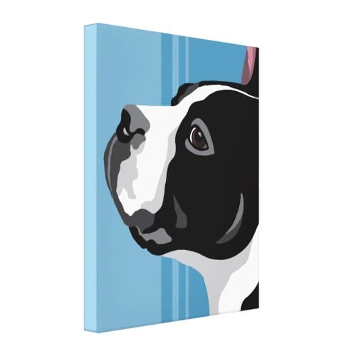 contemporary Boston Terrier canvas prints