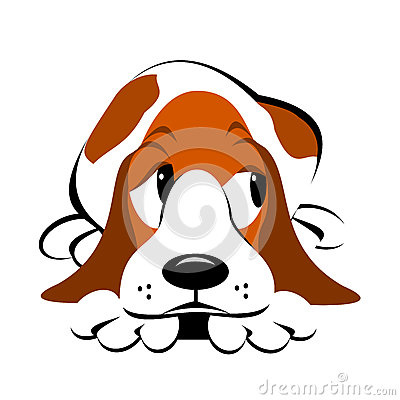 Basset Hound With Head On Paws
