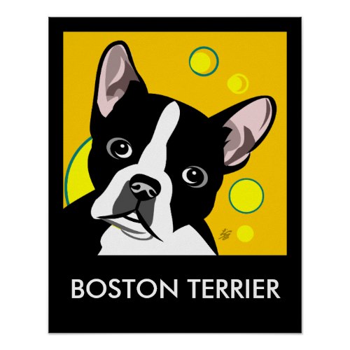 Contemporary Boston Terrier Posters