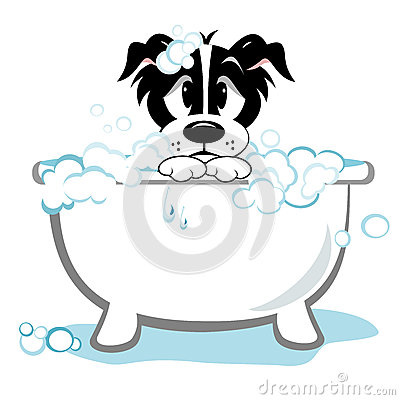 Sad Dog In Bathtub