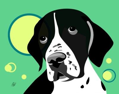 smooth coated pointer art