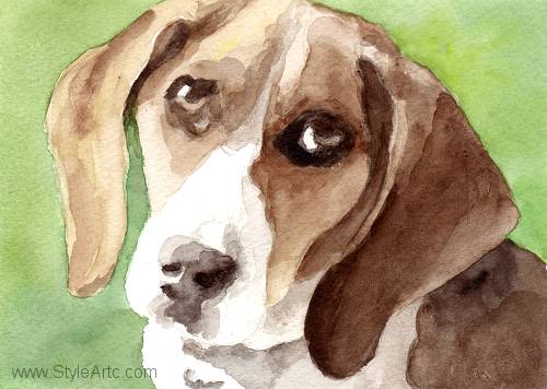Contemporary Beagle Watercolor Portrait