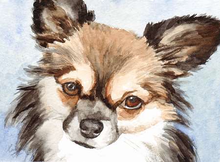 Modern Watercolor Chihuahua Portrait